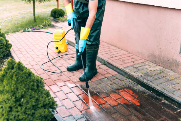 Best Dumpster Area Cleaning  in Clemson, SC